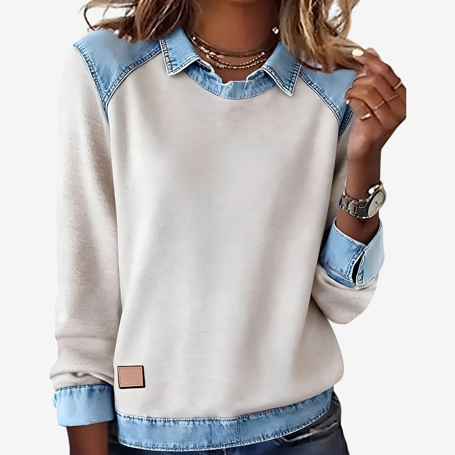 Galesi™ Maglione a contrasto